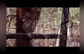 The One: Canadian Bruin