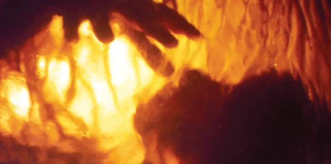 Body Snatchers (1994)