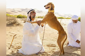 Dogs: The Untold Story: Billion Dollar Dogs