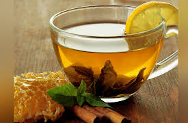 An Introduction to Infectious Diseases: Six Decades of Infectious Disease Challenges