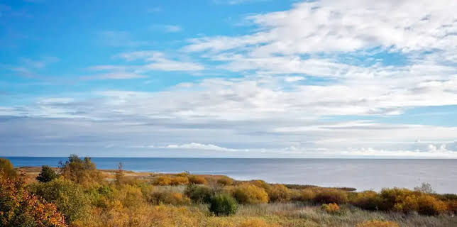 11:35: Hanseblick kompakt: Estlands Stiller Riese | NDR Fernsehen | 1/11 2026