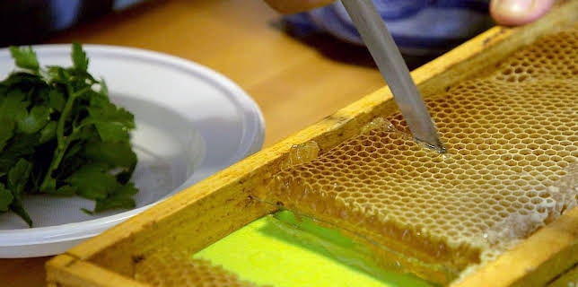 02:49: Die Bienenflüsterer | Arte | 11/11 2025