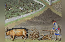 An Economic History of the World Since 1400: Manorial Society in Medieval Europe