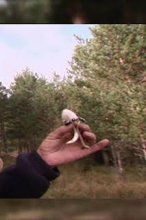 06:20: De setas por Castilla La Mancha | Castilla la Mancha TV | 10/12 2026
