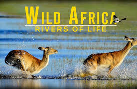 Wild Africa Rivers of Life Season 1: Season of Renewal