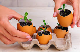 5-Minute Crafts: Smart Gardening Hacks and Plant Growing Tips
