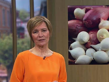 12:10: ARD-Buffet | SWR Fernsehen RP | 6/12 2026