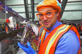 Blippi - Blippi's Educational Adventures for Kids: Blippi Visits a Cherry Farm - Cool Field Trip Videos for Kids