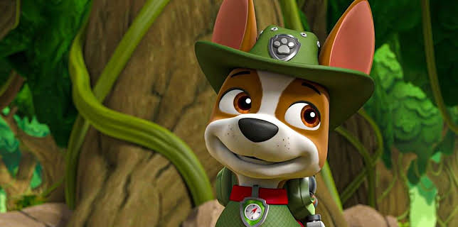 8:00 AM: PAW Patrol (S6 E16) (S6) | Channel 5 | 11/7 2025
