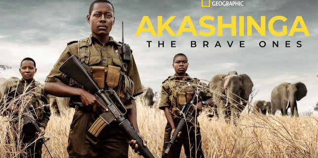 Akashinga: The Brave Ones (2020)