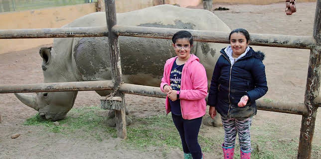 11:45 AM: Our Family (S5) | Cbeebies | 12/19 2025