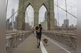 Ruff Life With Lee Asher: German Shepherd Loses Weight