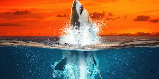 15:20: Air Jaws: Haie auf Medaillenkurs | ProSieben Maxx | 12/26 2025