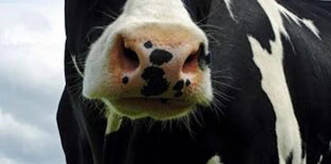 07:52: ¿Cómo lo hacen?: Episodio 10 | Discovery Max | 3/10 2026