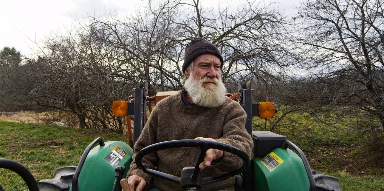 Peter and the Farm (2016)