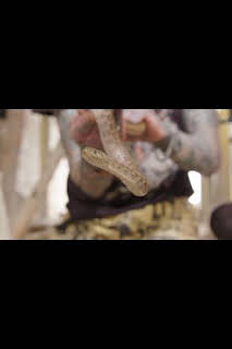 05:15: Serpientes en la ciudad: Krait mortal | Nat Geo Wild | 1/9 2026