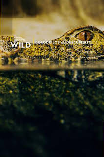 18:55: Cocodrilos al descubierto | Nat Geo Wild | 8/29 2026