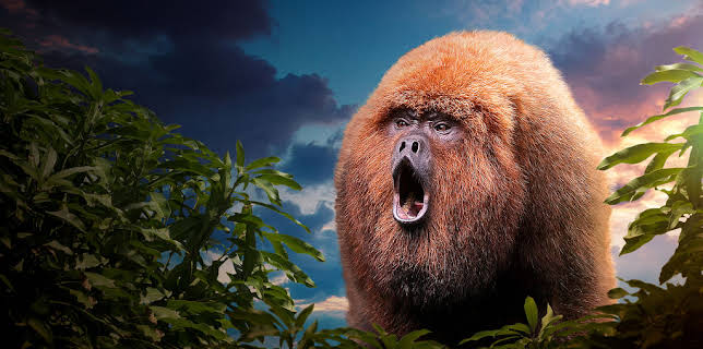 72 Dangerous Animals: Latin America