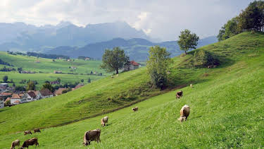 12:00: Expedition in die Heimat | ARD Alpha | 12/24 2025