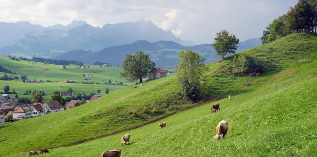 17:30: Expedition in die Heimat | ARD Alpha | 12/23 2025