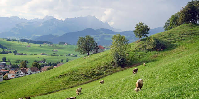 Expedition in die Heimat