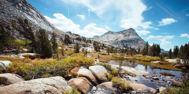 13:15: Wildes Kalifornien | MDR Fernsehen | 11/8 2025