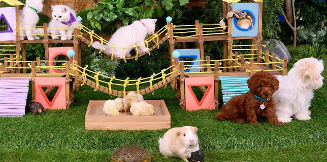 17:20: Rosin og Bolle: Verdens beste lekeplass | NRK Super | 12/31 2025