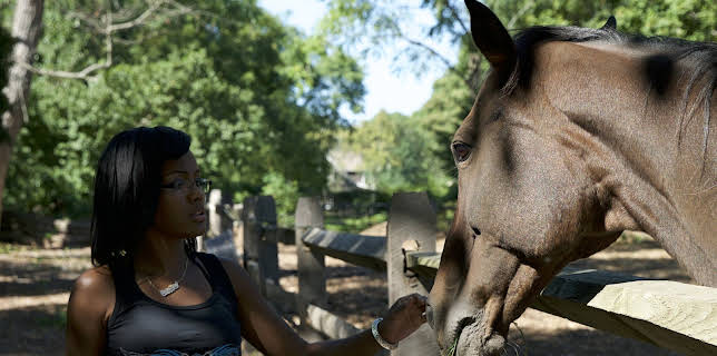 20:00: Guardians of Rescue (S1 E5) (S1) | Animal Planet | 3/19 2026
