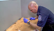 Schmugglern auf der Spur