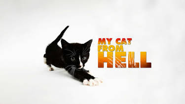 05:15: My Cat From Hell (S3 E1) (S3) | Animal Planet | 4/24 2026