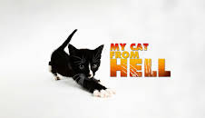 My Cat From Hell (S3 E6)