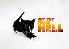 My Cat From Hell