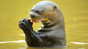 2:30 PM: Deadly 60 (S6) | CBBC | 4/8 2026