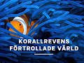 Korallrevens förtrollade värld