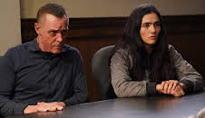 Chicago P.D. (S13 E21)