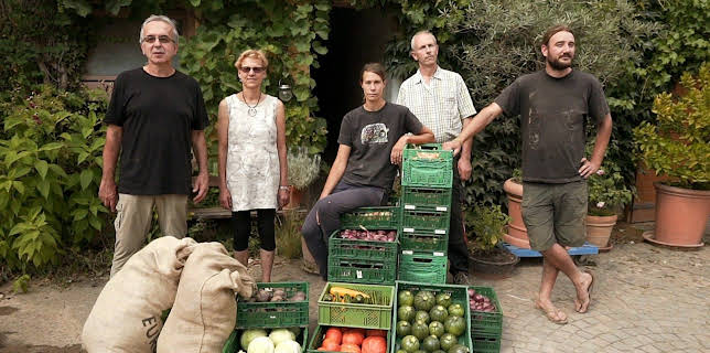 16:15: Land - Liebe - Luft | SWR Fernsehen RP | 3/8 2026