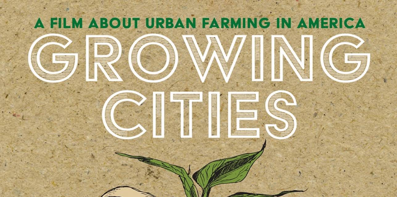 Growing Cities (2013)