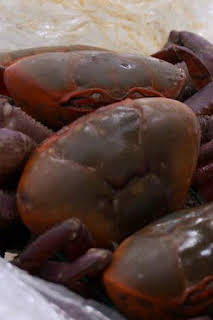 05:16: Control de fronteras: España: Episodio 1 | Discovery Max | 4/3 2026