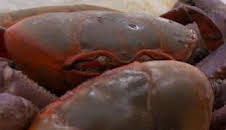 Control de fronteras: España: Episodio 1