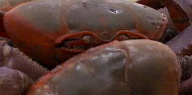 04:54: Control de fronteras: España: Episodio 1 | Discovery Max | 1/8 2026