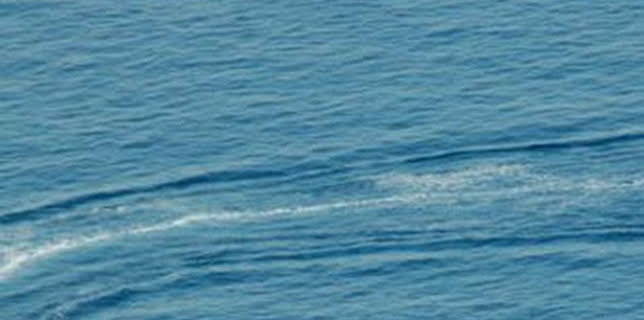 20:30: Powerboat Racing World Championship Magazine (T2025): 09/12/2025 | Eurosport 1 | 12/9 2025