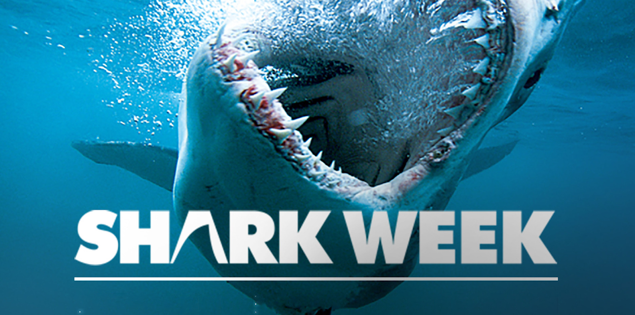 Shark Week: 20th Anniversary Collection
