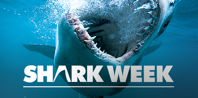 Shark Week: 20th Anniversary Collection