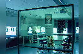 History Cold Case: Crossbones Girl