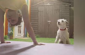 Dog Years: No-one To Play WIth