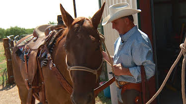 21:00: Lone Star Law (S6 E16) (S6) | Animal Planet | 4/1 2026