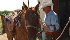 Lone Star Law (S6 E16)