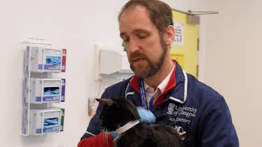 03:45: Animal ER (S1 E5) (S1) | Animal Planet | 5/1 2026