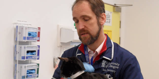 00:00: Animal ER (S1 E5) (S1) | Animal Planet | 12/12 2025