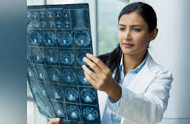 Mind-Body Philosophy: A Guided Tour of the Brain